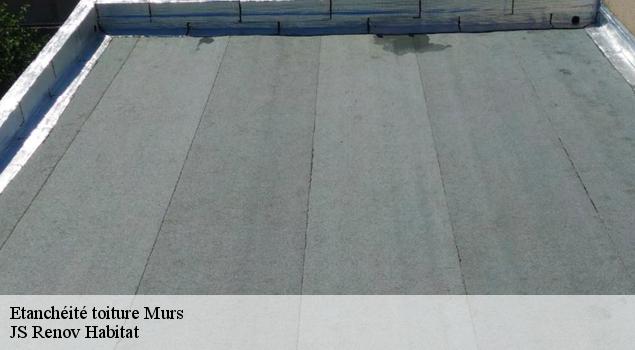 Etanchéité toiture  murs-84220 JS Renov Habitat 