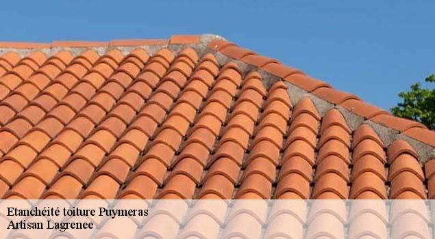 Etanchéité toiture  puymeras-84110 Artisan Lagrenee