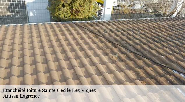 Etanchéité toiture  sainte-cecile-les-vignes-84290 Artisan Lagrenee