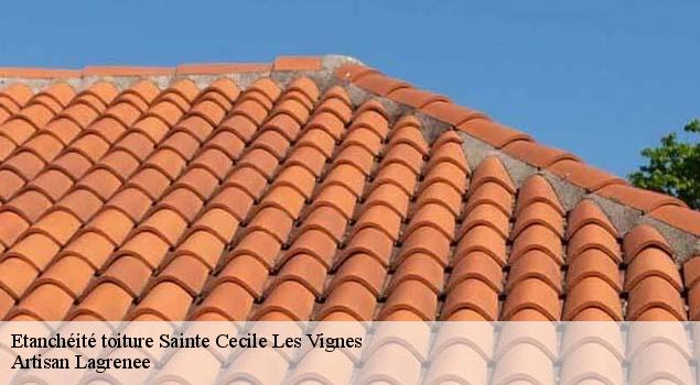 Etanchéité toiture  sainte-cecile-les-vignes-84290 Artisan Lagrenee