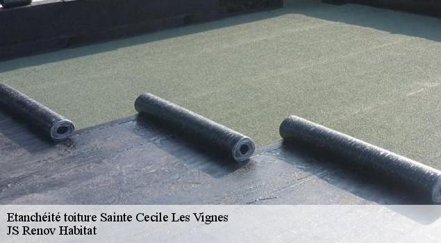 Etanchéité toiture  sainte-cecile-les-vignes-84290 JS Renov Habitat 