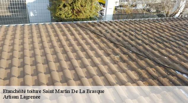 Etanchéité toiture  saint-martin-de-la-brasque-84760 Artisan Lagrenee