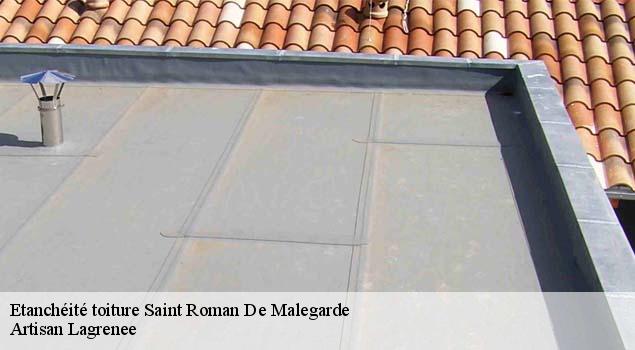 Etanchéité toiture  saint-roman-de-malegarde-84290 Artisan Lagrenee