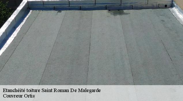 Etanchéité toiture  saint-roman-de-malegarde-84290 Couverture Lagrenee