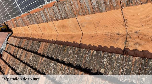 Réparation de toiture  le-barroux-84330 JS Renov Habitat 