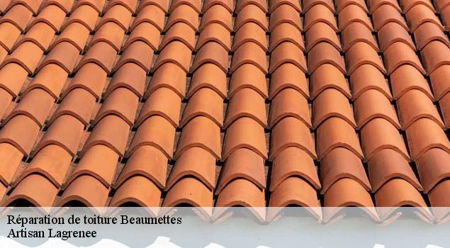 Réparation de toiture  beaumettes-84220 Artisan Lagrenee