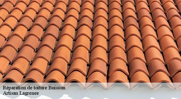 Réparation de toiture  buisson-84110 Artisan Lagrenee