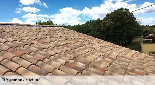 Réparation de toiture  buoux-84480 Artisan Lagrenee