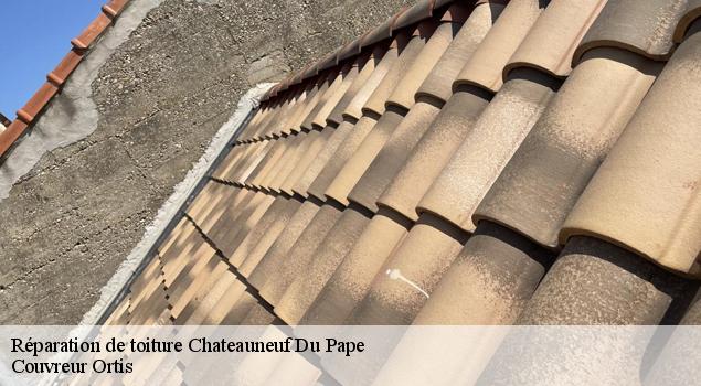 Réparation de toiture chateauneuf-du-pape-84230 Couverture Lagrenee