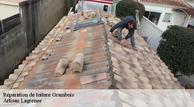Réparation de toiture  grambois-84240 Artisan Lagrenee