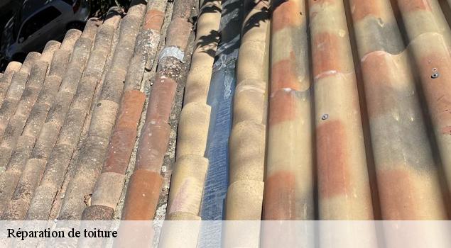 Réparation de toiture  jonquerettes-84450 JS Renov Habitat 