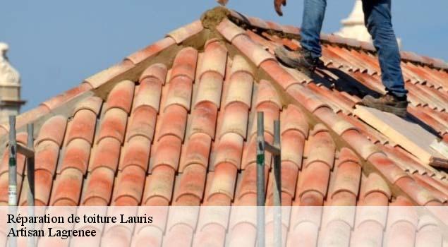 Réparation de toiture  lauris-84360 Artisan Lagrenee