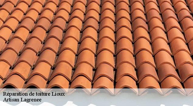 Réparation de toiture  lioux-84220 Artisan Lagrenee