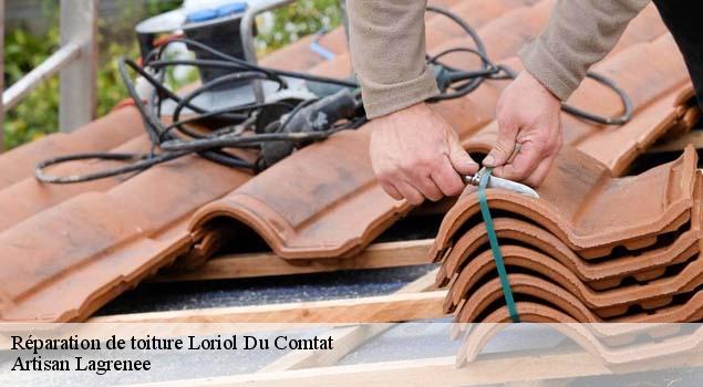 Réparation de toiture  loriol-du-comtat-84870 Artisan Lagrenee
