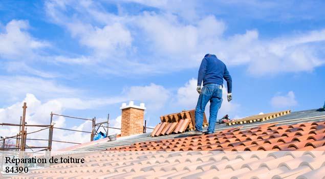 Réparation de toiture  monieux-84390 Artisan Lagrenee