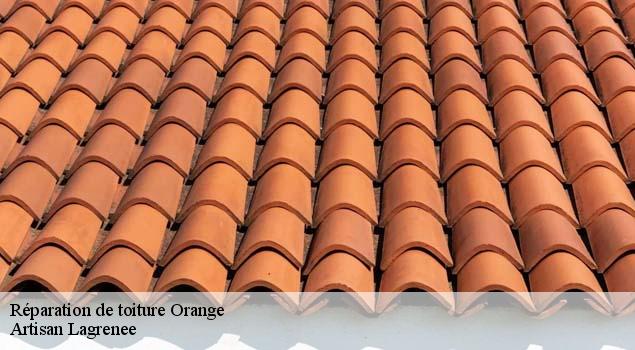 Réparation de toiture  orange-84100 Artisan Lagrenee