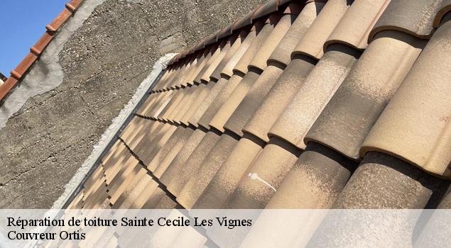Réparation de toiture sainte-cecile-les-vignes-84290 Couverture Lagrenee