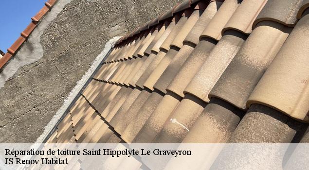 Réparation de toiture  saint-hippolyte-le-graveyron-84330 JS Renov Habitat 