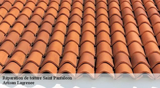 Réparation de toiture  saint-pantaleon-84220 Artisan Lagrenee