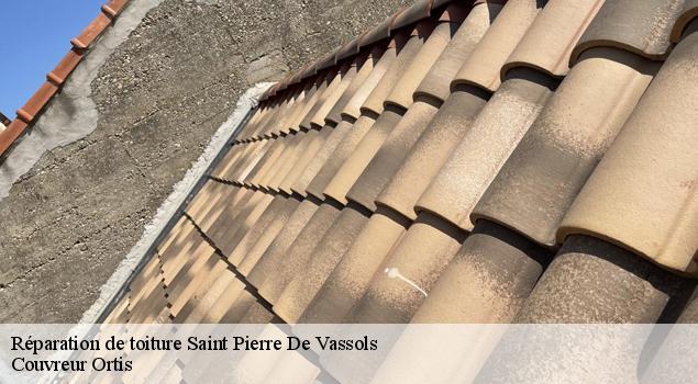Réparation de toiture saint-pierre-de-vassols-84330 Couverture Lagrenee