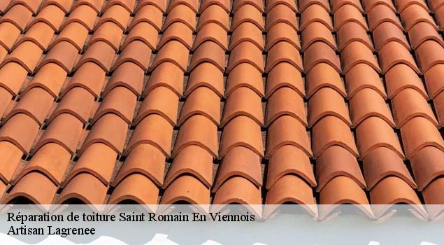 Réparation de toiture  saint-romain-en-viennois-84110 Artisan Lagrenee