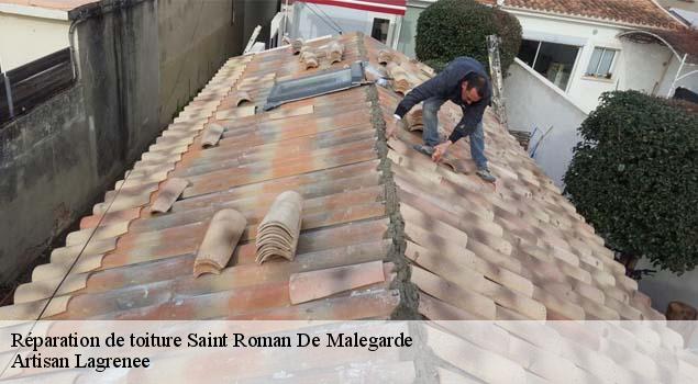 Réparation de toiture  saint-roman-de-malegarde-84290 Artisan Lagrenee