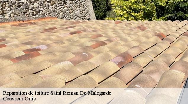 Réparation de toiture  saint-roman-de-malegarde-84290 Couverture Lagrenee