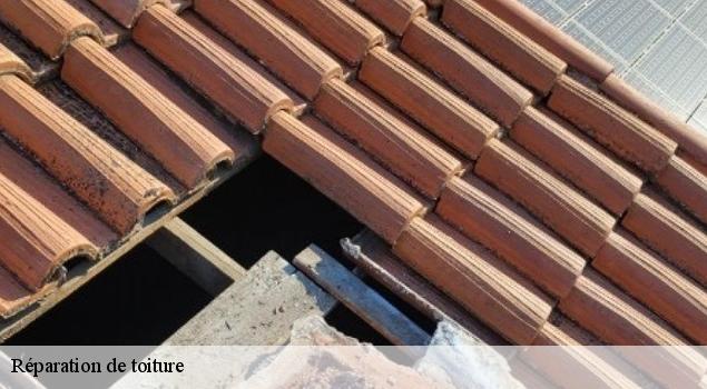 Réparation de toiture  saint-saturnin-les-apt-84490 JS Renov Habitat 