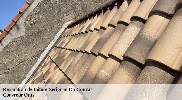 Réparation de toiture  serignan-du-comtat-84830 Couverture Lagrenee