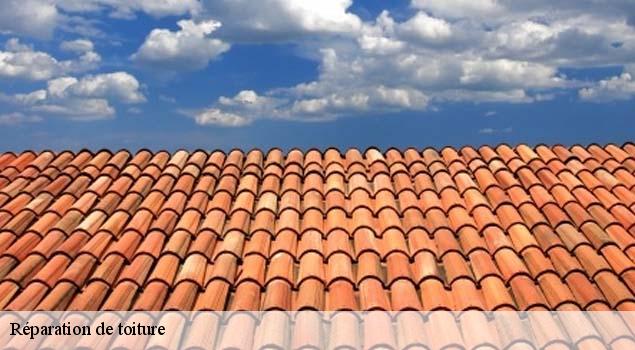 Réparation de toiture  villes-sur-auzon-84570 Artisan Lagrenee