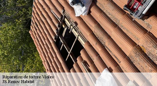 Réparation de toiture  violes-84150 JS Renov Habitat 