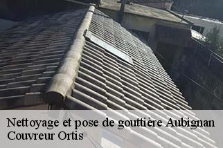 Nettoyage et pose de gouttière  aubignan-84810 Couvreur Ortis