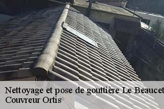 Nettoyage et pose de gouttière  le-beaucet-84210 Couvreur Ortis