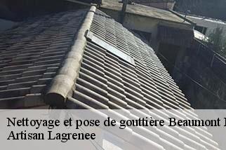 Nettoyage et pose de gouttière  beaumont-du-ventoux-84340 Artisan Lagrenee