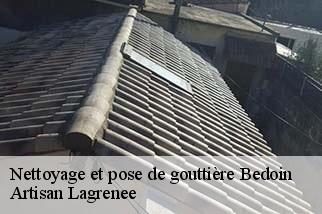 Nettoyage et pose de gouttière  bedoin-84410 Artisan Lagrenee