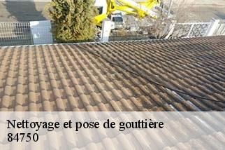 Nettoyage et pose de gouttière  caseneuve-84750 Artisan Lagrenee