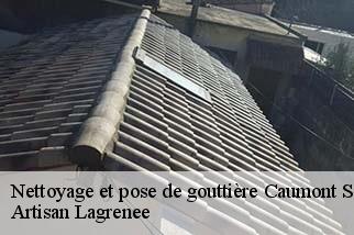 Nettoyage et pose de gouttière  caumont-sur-durance-84510 Artisan Lagrenee