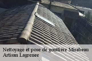 Nettoyage et pose de gouttière  mirabeau-84120 Artisan Lagrenee