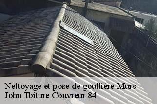 Nettoyage et pose de gouttière  murs-84220 John Toiture Couvreur 84
