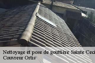 Nettoyage et pose de gouttière sainte-cecile-les-vignes-84290 Couverture Lagrenee