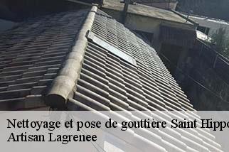 Nettoyage et pose de gouttière  saint-hippolyte-le-graveyron-84330 Artisan Lagrenee