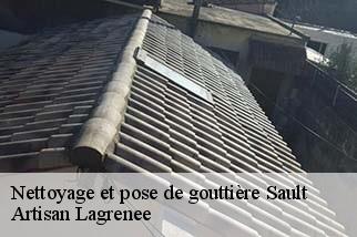 Nettoyage et pose de gouttière  sault-84390 Artisan Lagrenee