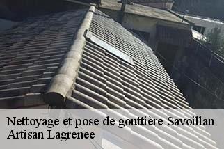 Nettoyage et pose de gouttière  savoillan-84390 Artisan Lagrenee