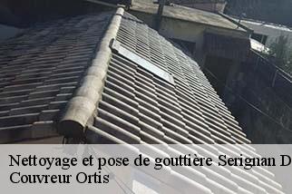 Nettoyage et pose de gouttière  serignan-du-comtat-84830 Couverture Lagrenee