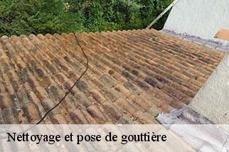 Nettoyage et pose de gouttière  travaillan-84850 Artisan Lagrenee