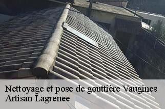 Nettoyage et pose de gouttière  vaugines-84160 Artisan Lagrenee