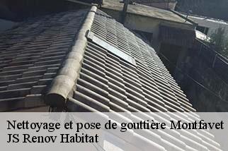 Nettoyage et pose de gouttière  montfavet-84140 JS Renov Habitat 