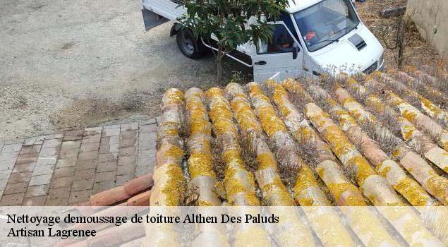 Nettoyage demoussage de toiture  althen-des-paluds-84210 Artisan Lagrenee