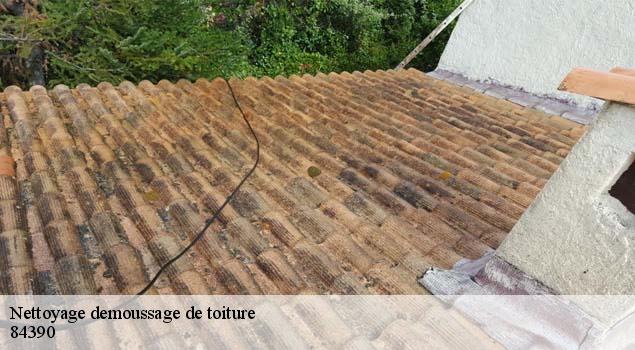Nettoyage demoussage de toiture  aurel-84390 Couverture Lagrenee