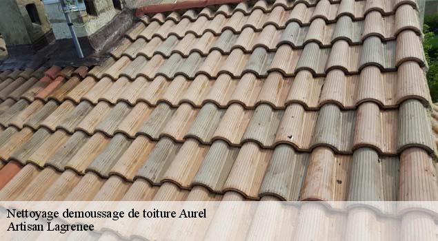 Nettoyage demoussage de toiture  aurel-84390 Couverture Lagrenee